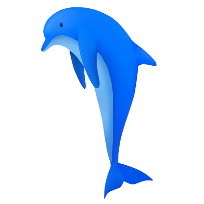 dolphin from the sea  art vector Hand drawn illustration isolated