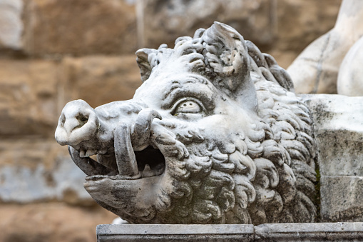 In Greek mythology, the Erymanthian boar was a mythical creature. This Italian Renaissance marble statue which is free to view for the public in Piazza della Signoria, was completed by Florentine sculptor Baccio Bandinelli between 1525-1534. The boar represents the fourth labour of Heracles, which was to bring it alive to Eurystheus in Mycenae. When the king Eurystheus saw Hercules carrying the boar on his shoulders, he was frightened and hid himself in a bronze vessel.