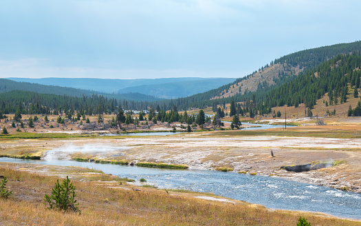 Panoramic view of Yellowstone National Park, Firehole River, at the area of Upper Geyser Basin. Yellowstone National Park, Wyoming, USA.
