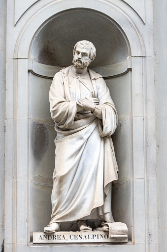 In this public square known as the Niches is Andrea Cesalpino (1519-1603), physician, philosopher and botanist, noted for classifying plants by fruits and seeds as opposed to alphabetically. In 1555 he became director of Pisa botanical garden.