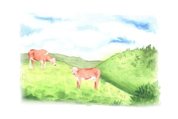 istock Landscape with green hills and grazing cows. Watercolor illustration. Isolated on a white background with blurry edges. For your design dairy product packaging, stickers, organic products etc 1451723457