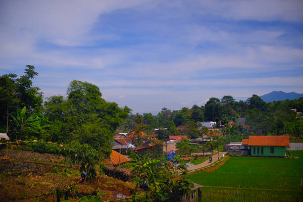 istock A house on the edge of a rice field 1451725850