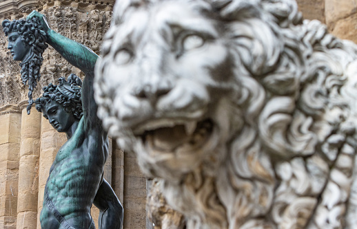 Medici Lions at Loggia dei Lanzi at Florence in Tuscany, Italy. These marble sculptures date to the 2nd century AD (a Roman one) and the other one is 16th century pendant. They were displayed at Villa Medici from 1576 and were subsequently (from 1789) placed on show at the open public space of Loggia dei Lanzi. Behind, in focus, is Perseus with the Head of Medusa by Benvenuto Cellini at Loggia dei Lanzi on Piazza della Signoria. This sculpture which is in a public space on a town square was built between 1545-1554.