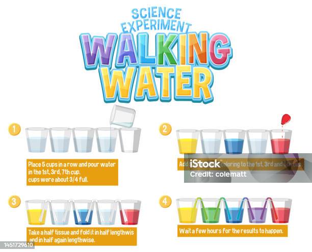 Water Process Experiment Walking Water Science Experiment Stock Illustration - Download Image ...