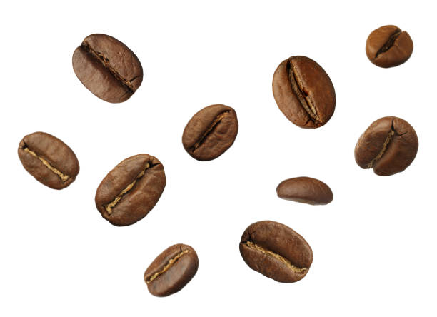 istock Many roasted coffee beans flying on white background 1451731094