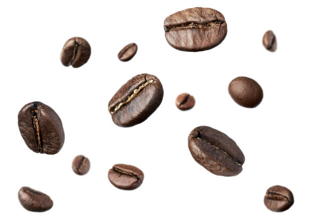 istock Many roasted coffee beans flying on white background 1451731129