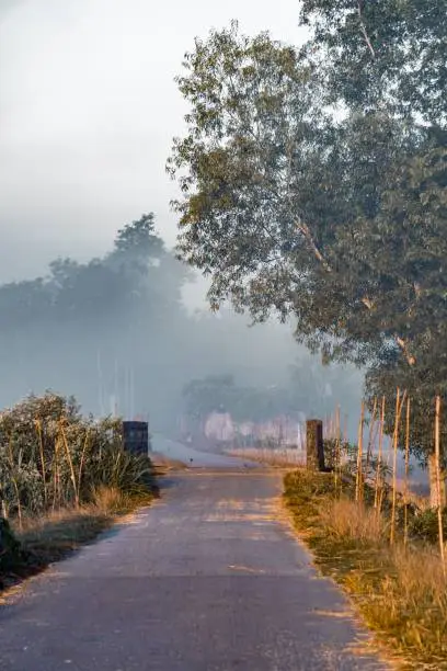 Photo of A village road in the morning