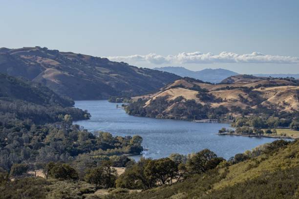 istock River flowing through the mountains  with trees in Del Valle Regional Park 1451737782