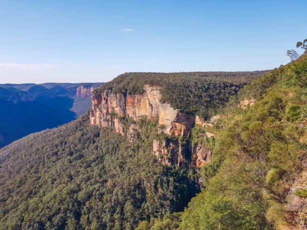 istock blue mountains national park 1451738876