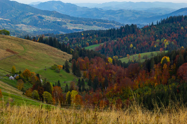 istock Nice landscape with rural meadow in Carpathian mountains, Ukraine 1451742902