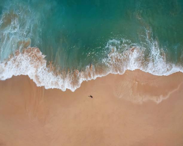 istock Top down drone shot of balis rough coast 1451745497