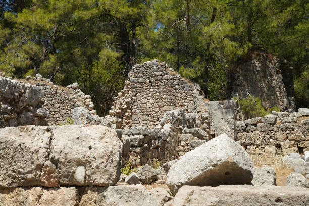 istock Phaselis Ancient City in Kemer, Antalya, Turkiye 1451747245