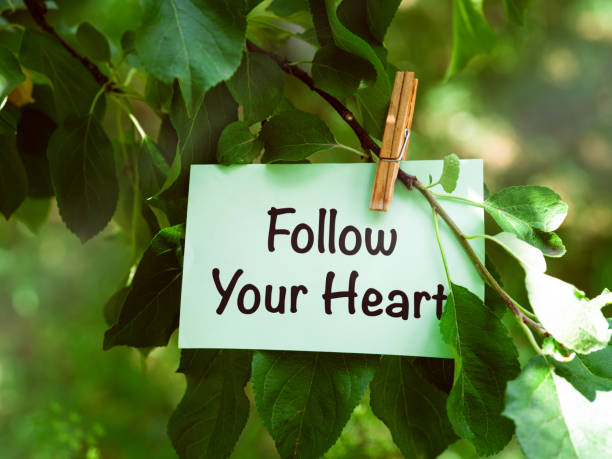 istock A green paper note with words Follow Your Heart hanging on a tree branch. 1451747697