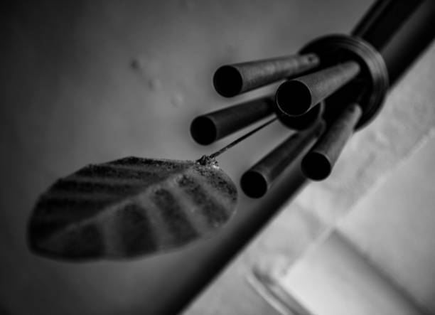 istock Grayscale low-angle closeup of wind chimes. 1451747815