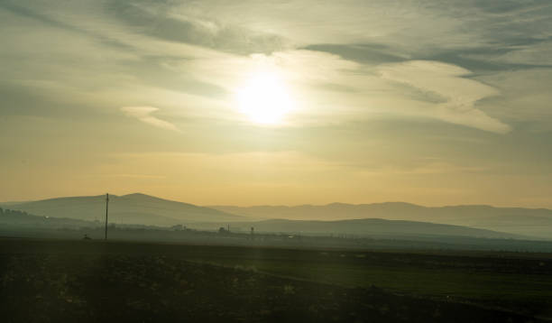 Natural summer landscape