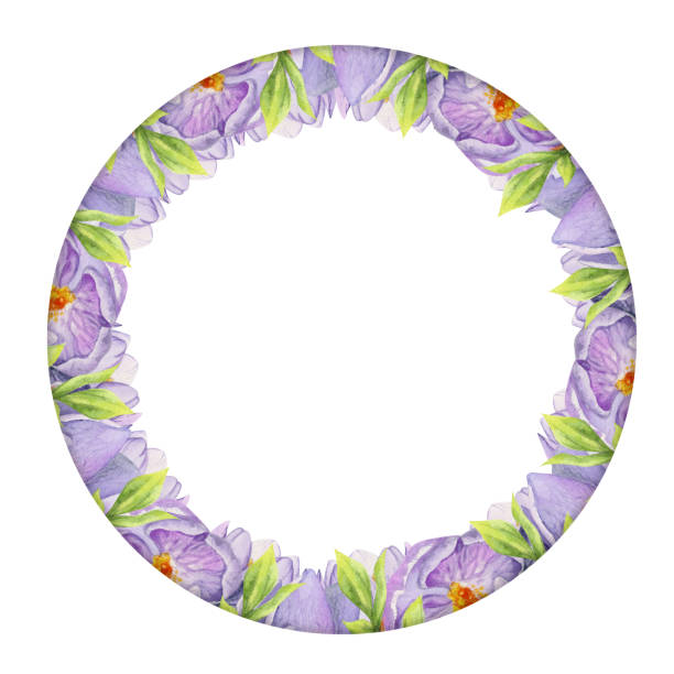 istock Watercolor hand drawn circle wreath with spring flowers, daffodils, crocus, snowdrops, leaves. Isolated on white background. Design for invitations, wedding, greeting cards, wallpaper, print, textile. 1451755340