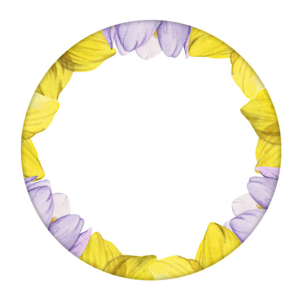 istock Watercolor hand drawn circle wreath with spring flowers, daffodils, crocus, snowdrops, leaves. Isolated on white background. Design for invitations, wedding, greeting cards, wallpaper, print, textile. 1451756389