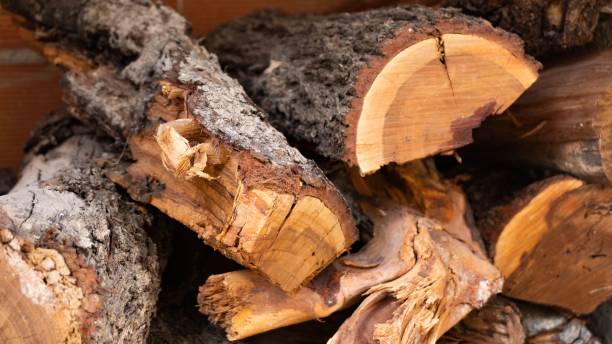 istock Closeup shot of a stack of firewood 1451760792