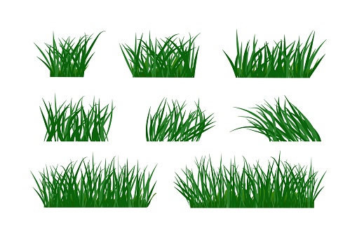 Green cartoon grass in bunches, clusters. Elements for various summer and spring designs. Ready template isolated on white background