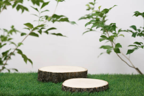 empty wooden podium texture on grass with tree branch fresh green leaf white space background.organic healthy natural product pedestal platform promotion show display,spring banner concept design. textura de podio de madera vacía en hierba con rama de árbol hoja verde fresca espacio blanco background.organic producto natural saludable plataforma de promoción de pedestal mostrar exhibición, diseño conceptual de banner de primavera.