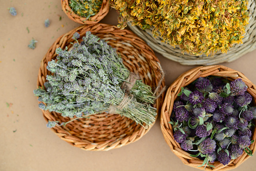 Phytotherapy, dried medicinal plants and dry herbs in handmade baskets on the background of a wooden table, top view. Dried clover flowers, thyme bunches, St. John's wort
