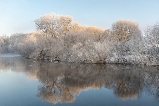Reflections of snow covered trees in the River Teviot, Scottish Borders, United Kingdom