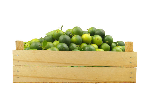 istock Fresh limes in wooden crate isolated on white 1451768906