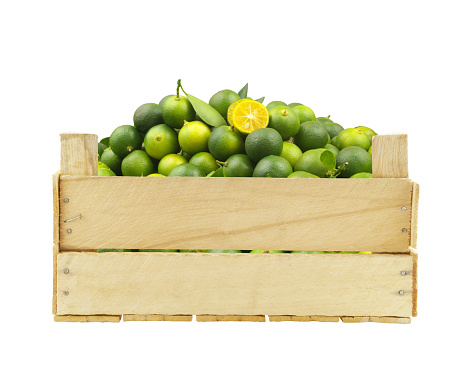 Fresh ripe calamansi limes in wooden crate isolated on white background