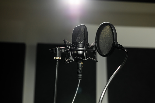 Studio microphone, sound recording equipment