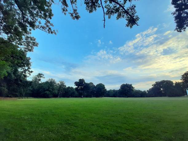 istock a very beautiful view of nature 1451778281