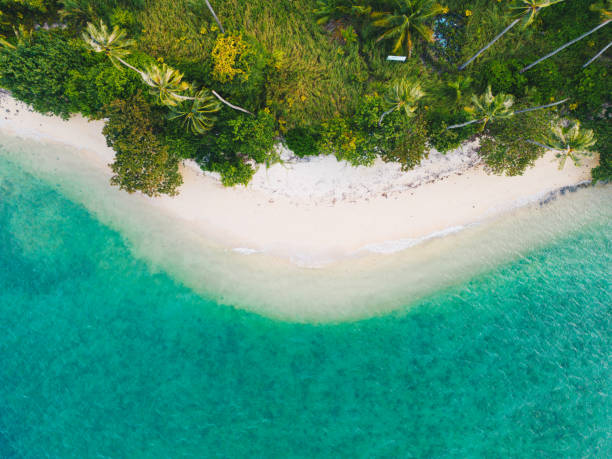 istock Tropical palm trees on the sandy beach and turquoise ocean from above. 1451779404