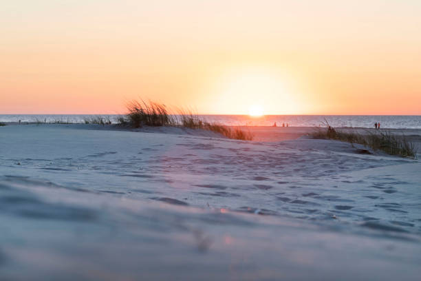 Ameland-The Netherlands-13-08-2022: Beautiful sunset at the dunes and beach. High quality photo