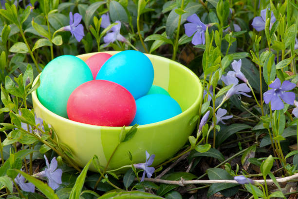 close-up of multi colored easter\neggs in bowl