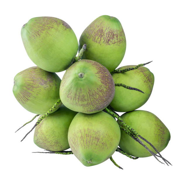 istock coconut bunch, coconut young, green coconut, summer fruit 1451794485