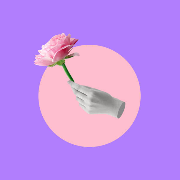 istock Creative collage of hand holding a flower. 1451795366