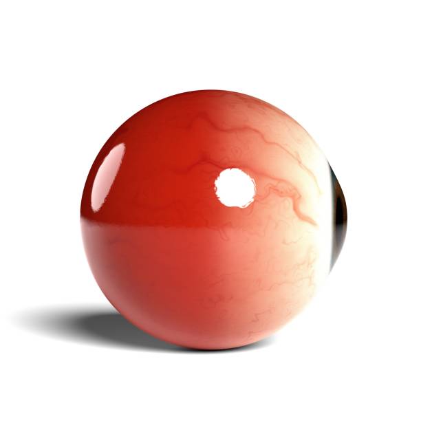 istock Side view of realistic human eyeball isolated on wihte background, 3D rendering 1451796261
