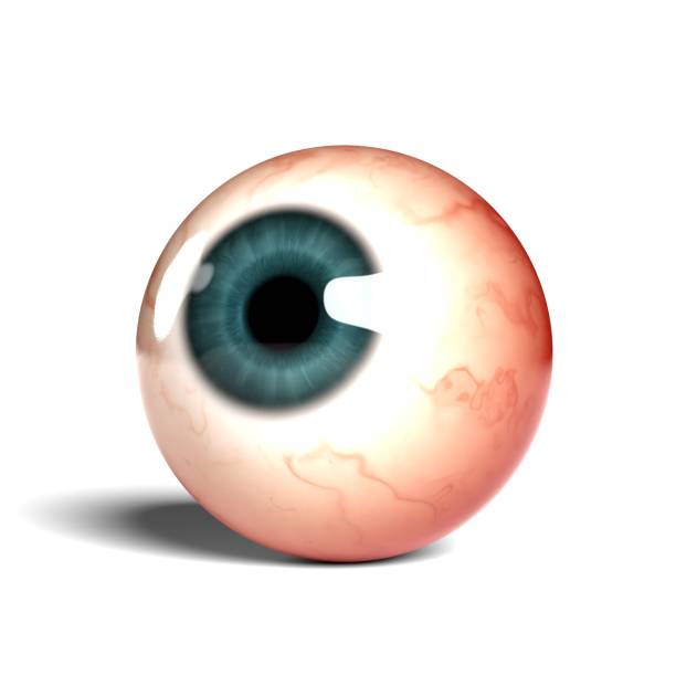 istock Side view of realistic human eyeball isolated on wihte background, 3D rendering 1451796433