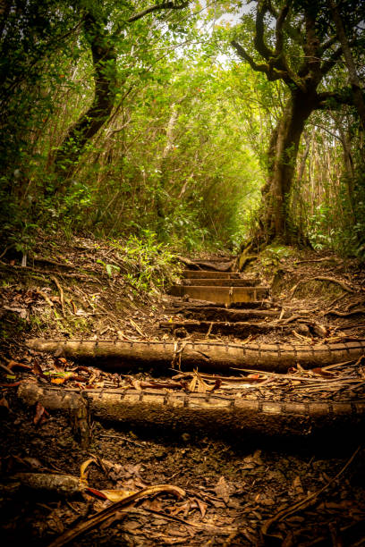 istock Hiking island meeting 1451798558