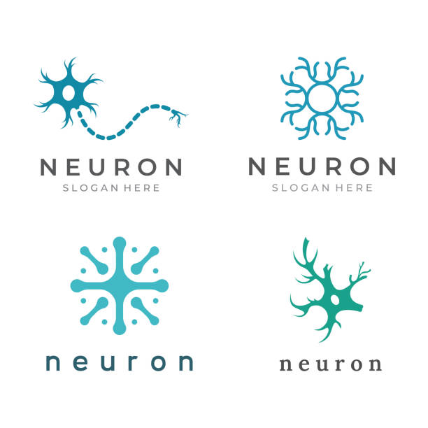 neuron-logo oder nervenzellen-logo mit konzept-vektor-illustrationsvorlage. - nervenzelle stock-grafiken, -clipart, -cartoons und -symbole
