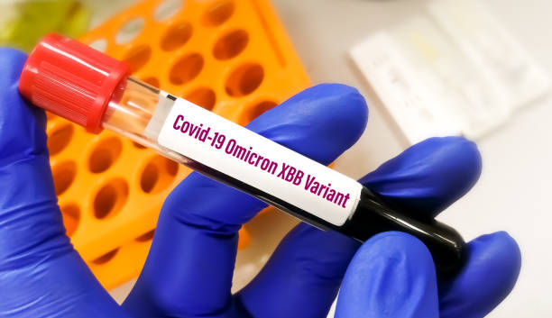 Hand with blood sample labeled with New Variant Omicron XBB of the Sars-cov-2 or Coronavirus. Doctor holding blood tube for Covid-19 Omicron Xbb stock photo