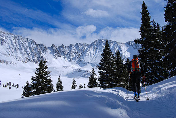 Mayflower gulch tour skier headed up mayflower gulch, summit county, Colorado, USA summit county stock pictures, royalty-free photos & images