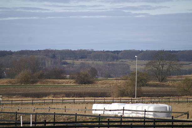 Landscape stock photo