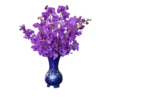 front view violet orchid flowers bouquet in a blue ceramic vase on white background, nature, object, decor, vintage, copy space