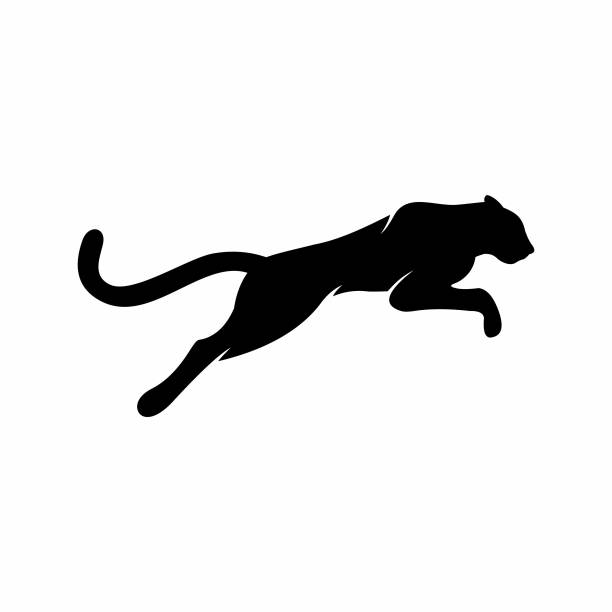 panther symbol panther symbol mountain lion stock illustrations