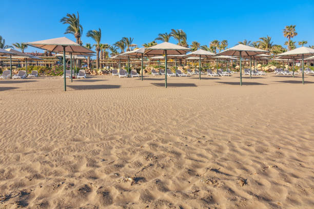 istock Empty sandy beach in sunny weather under blue sky in not season time 1451840984