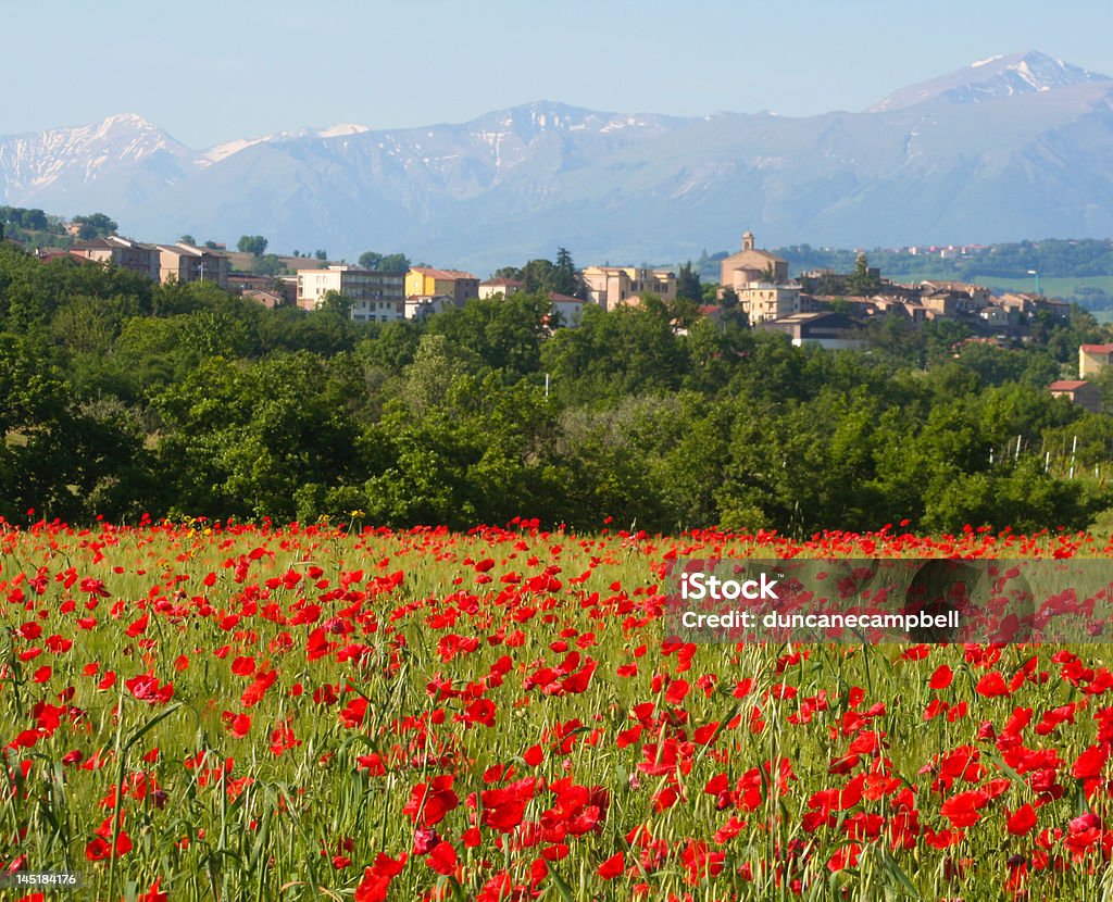 Poppy village, central Italy A poppy field covers the slope of a hill near the Le Marche, Italy town of Colmurano with the Sibillini range of the Apennine mountains beyond Agricultural Field Stock Photo