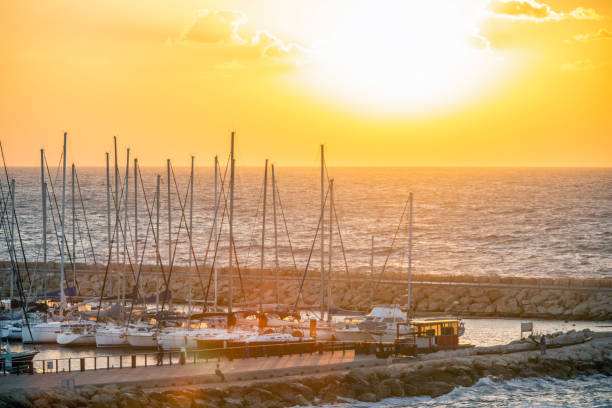 sailboats in harbor  in sunset or sunrise in tel aviv - sailboat sunset tel aviv sea imagens e fotografias de stock