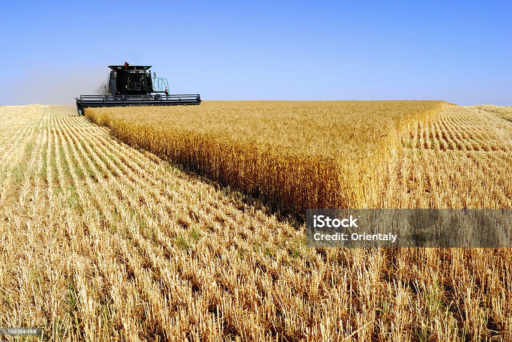 Cosechadora combinar - Foto de stock de Agricultura libre de derechos