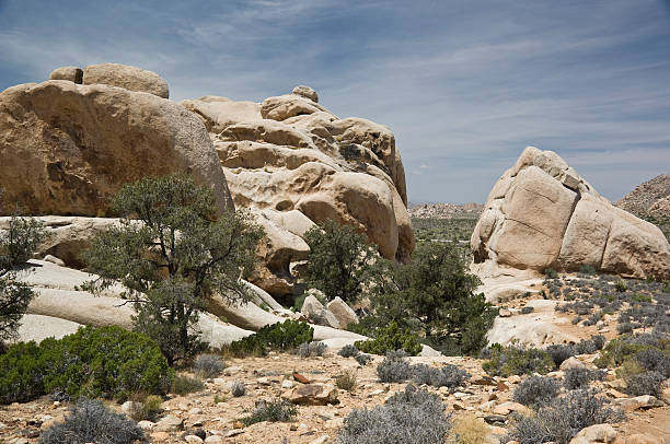 istock Giant Rocks at Joshua Tree 145184950