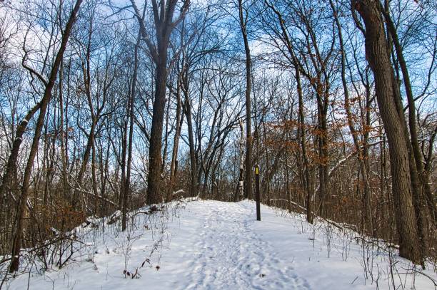 istock Marker on trail at Hilltop 1451851125
